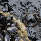 Illustration for article titled Santa Barbara Still Reeling From the Worst Oil Spill in Decades